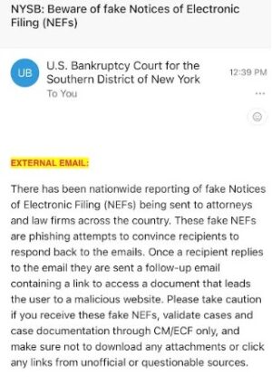 SDNY BK NEF Scam